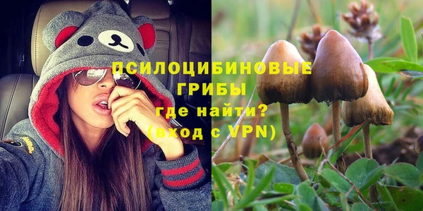 метамфетамин Елизово