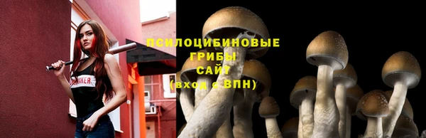 метамфетамин Елизово