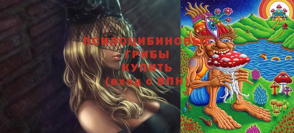 марки lsd Ельня