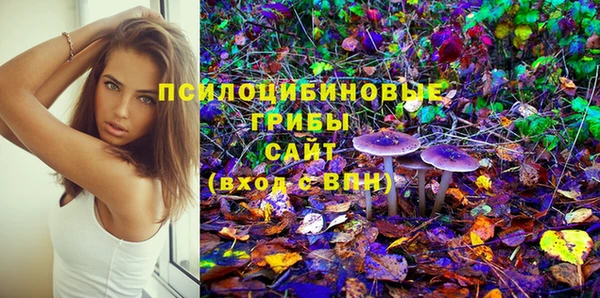 марки lsd Ельня