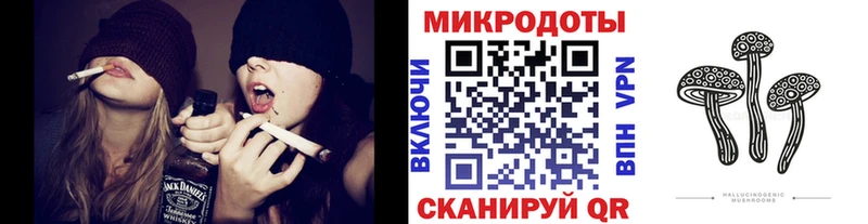 Галлюциногенные грибы Psilocybine cubensis  Заволжье 