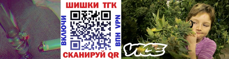 Конопля Ganja  Заволжье 